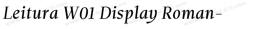 Leitura W01 Display Roman字体转换